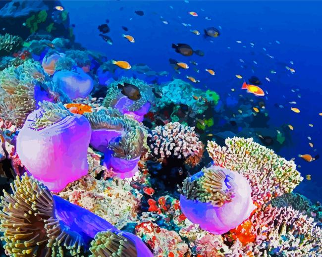 Ningaloo Reef Coast Painting By Numberss.png