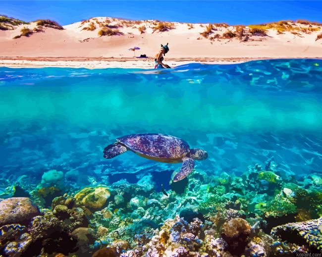 Ningaloo Reef Painting By Numberss.png
