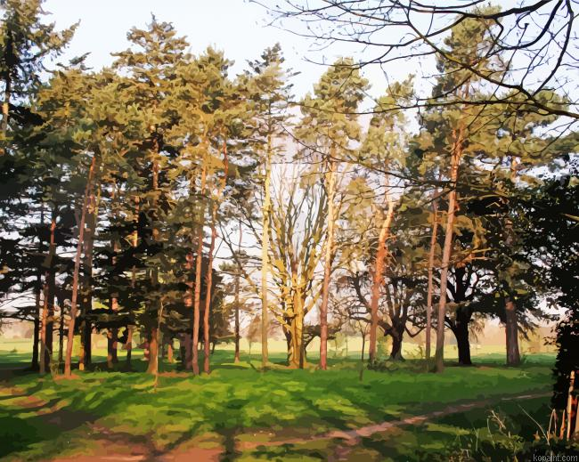 Nonsuch Park Painting By Numberss.png