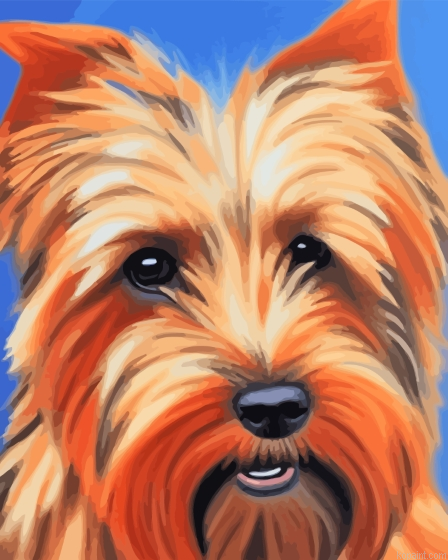 Norfolk Terrier Head Art Painting By Numberss.png