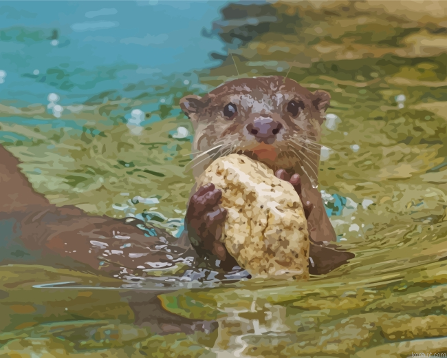 North American River Beaver Painting By Numberss.png