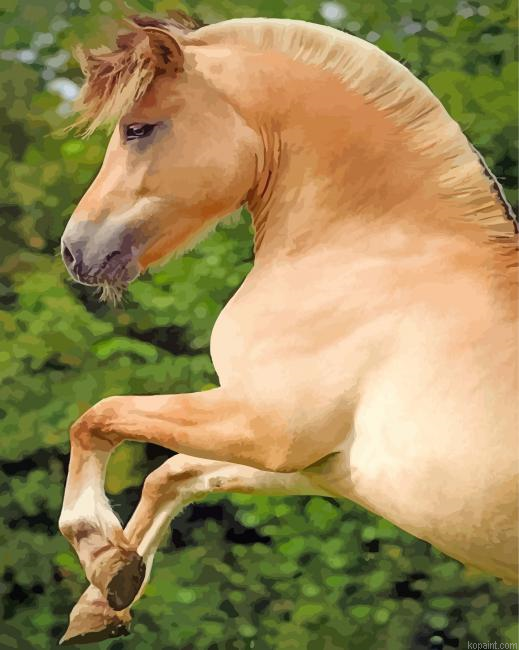 Norwegian Fjord Horse Animal Painting By Numberss.png
