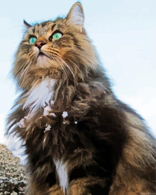 Norwegian Forest Cat Animal Painting By Numberss.png