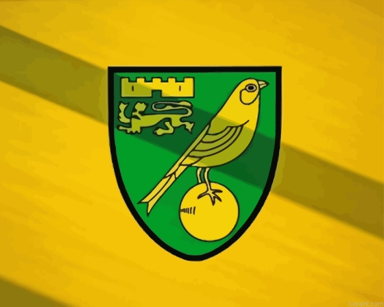 Norwich Logo Painting By Numberss.png