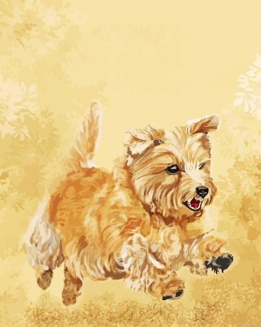 Norwich Terrier Art Painting By Numberss.png