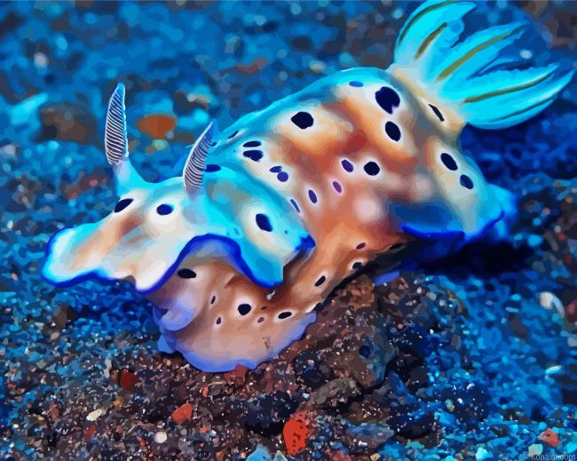 Nudibranch Fish Painting By Numberss.png