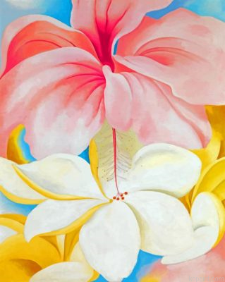 Nybg Georgia O Keeffe Hibiscus Painting By Numberss.png