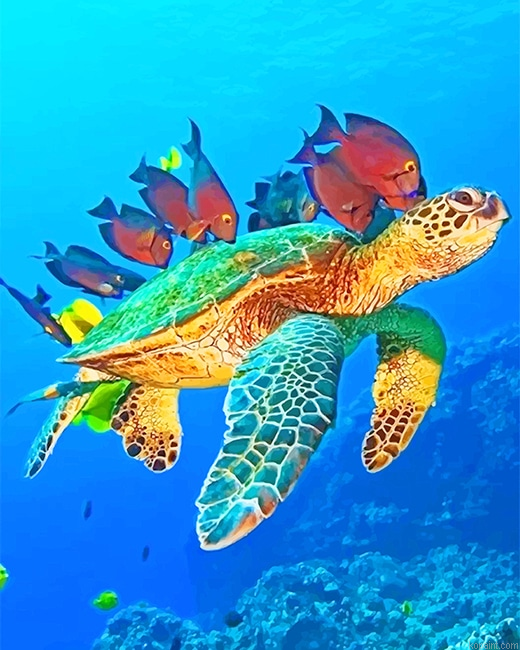 Ocean World New Painting By Numberss.png