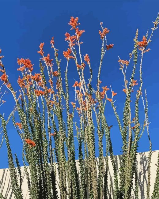 Ocotillo Flowering Plant Paint By Numbers