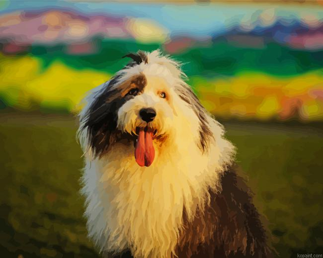 Old English Sheepdog Painting By Numberss.png
