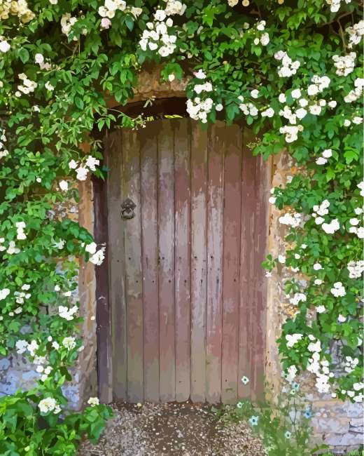 Old Flowering Door Painting By Numberss.png