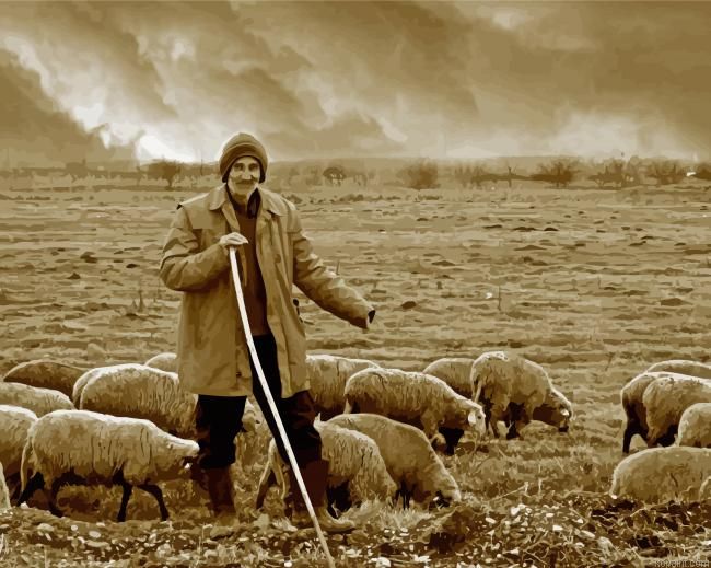Old Sheep Farmer Painting By Numberss.png