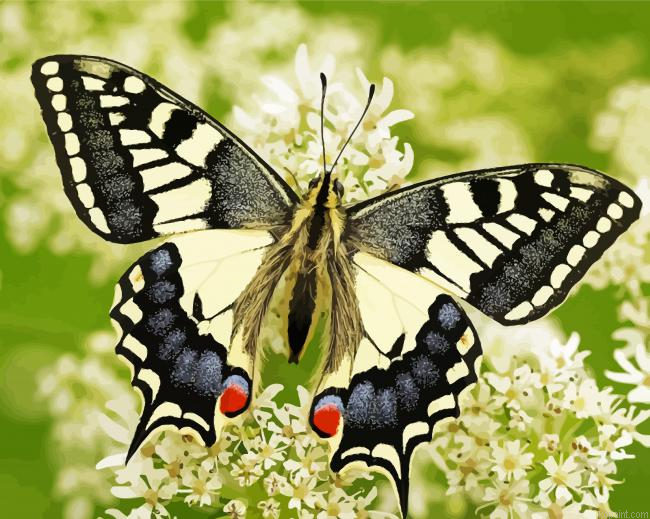 Old World Swallowtail Painting By Numberss.png