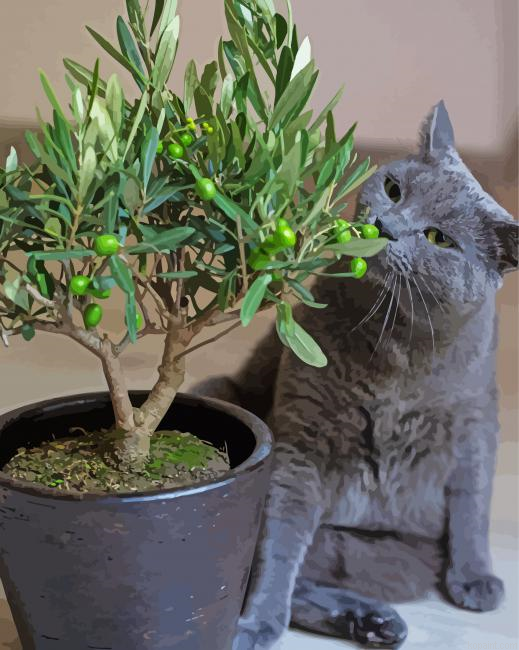 Olive Tree And Grey Cat Painting By Numberss.png