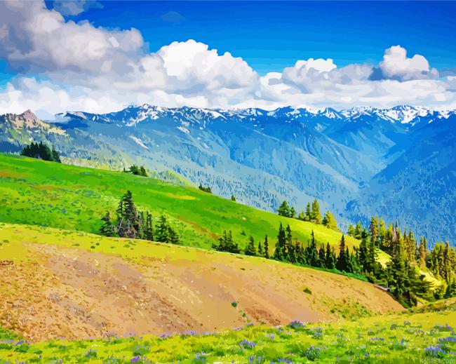 Olympic Hurricane Ridge Paint By Numbers