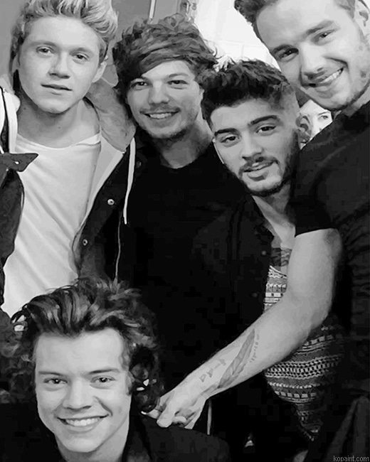 One Direction Family New Painting By Numberss.png