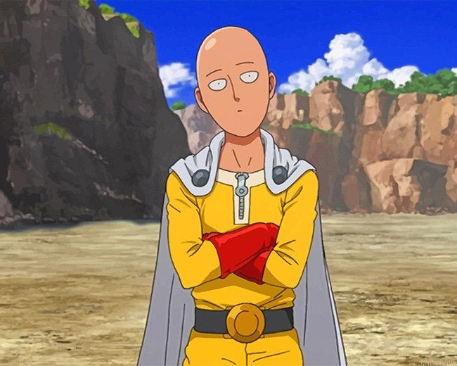 One Punch Man Saitama New Painting By Numberss.png