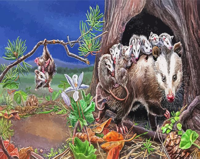 Opossum And Babies Painting By Numberss.png