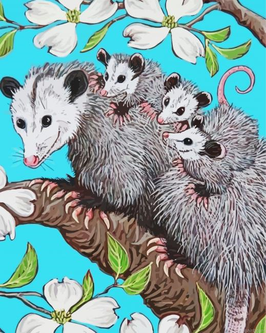 Opossum Family Art Painting By Numberss.png