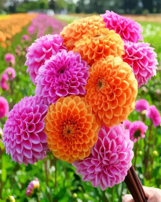 Orange And Pink Dahlias Painting By Numberss.png