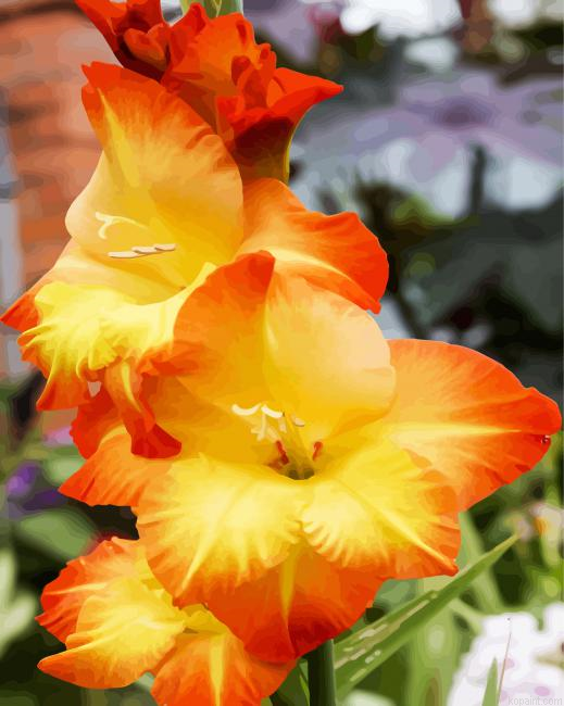 Orange And Yellow Gladiola Paint By Numbers