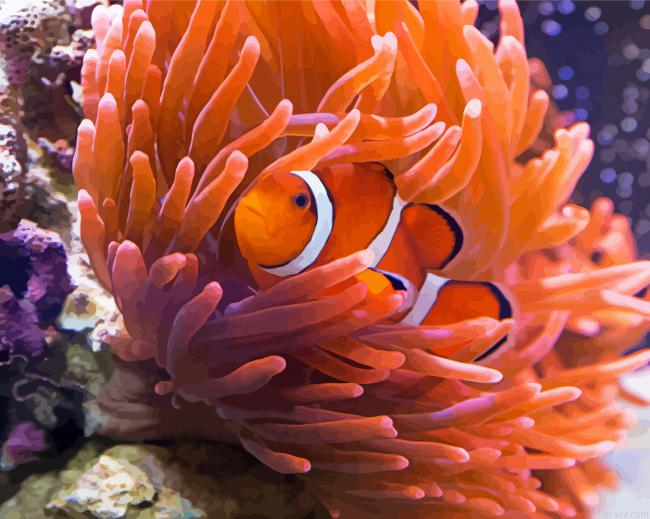 Orange Anemones And Clown Fish Painting By Numberss.png