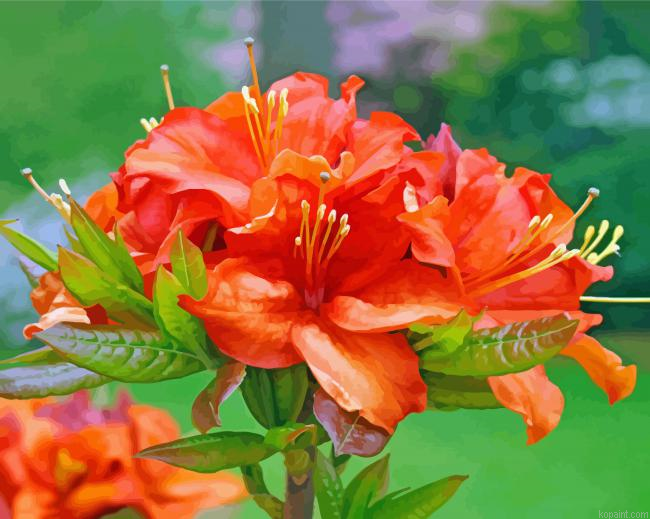 Orange Azaleas Painting By Numberss.png