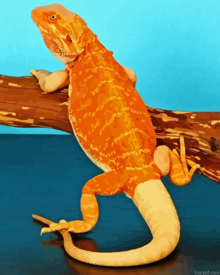 Orange Bearded Dragon Painting By Numberss.png