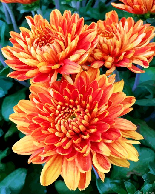 Orange Chrysanthemum Painting By Numberss.png