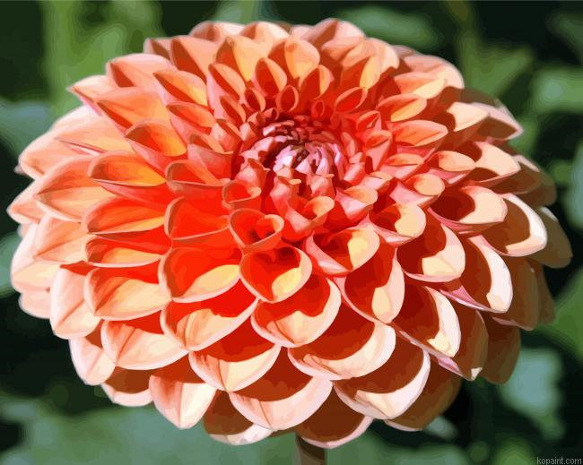 Orange Dahlia Painting By Numberss.png