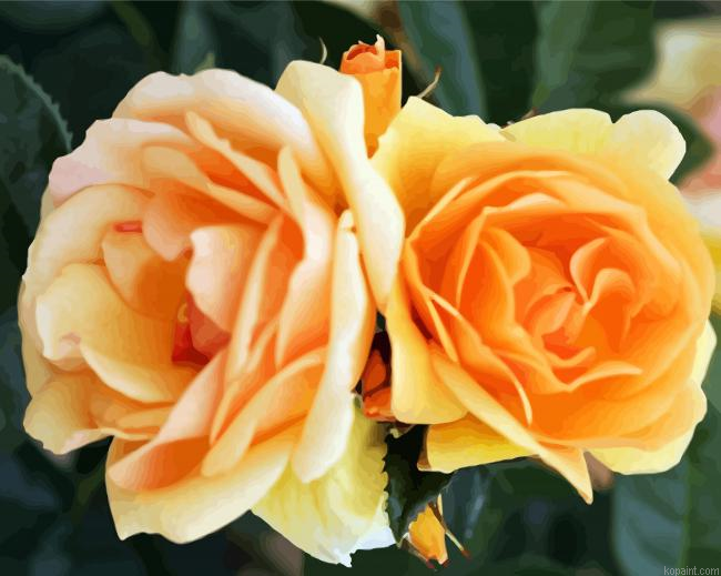 Orange Floribundas Flower Painting By Numberss.png