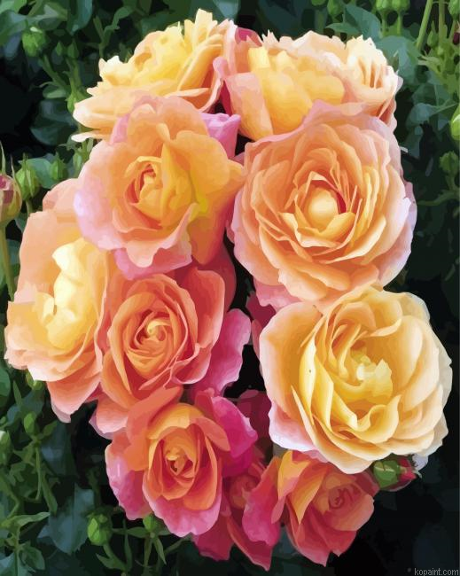 Orange Floribundas Painting By Numberss.png