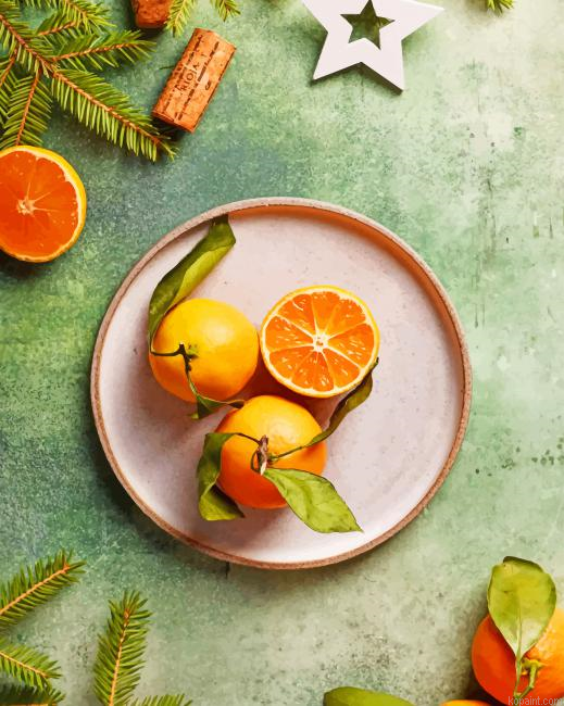 Orange Fruit Photography New Painting By Numberss.png