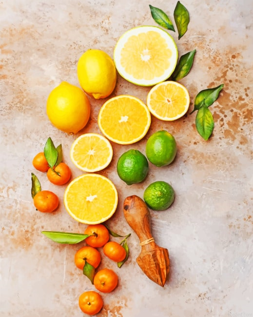 Orange Fruits New Painting By Numberss.png
