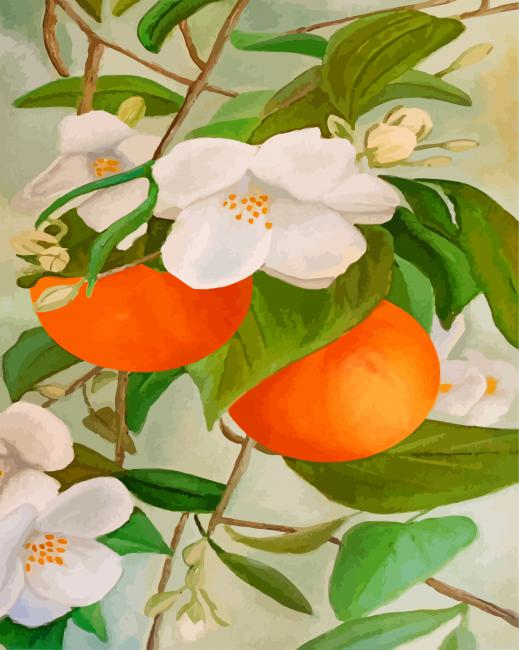 Orange Tree And Blossoms Painting By Numberss.png