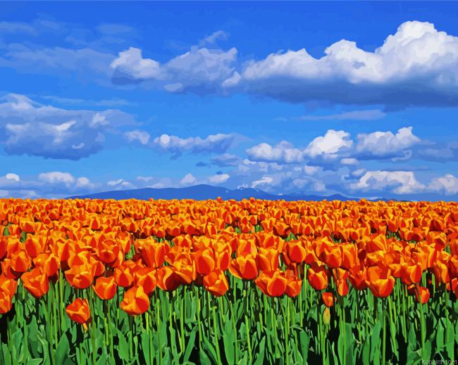 Orange Tulips Field Painting By Numberss.png