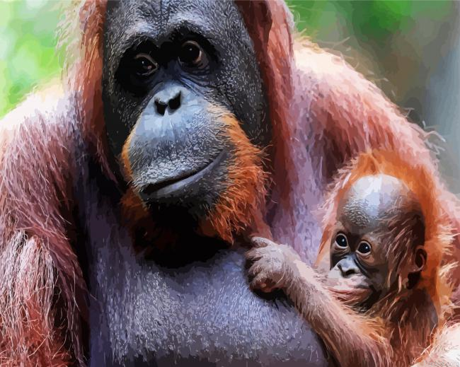 Orangutan And Baby Monkey Painting By Numberss.png