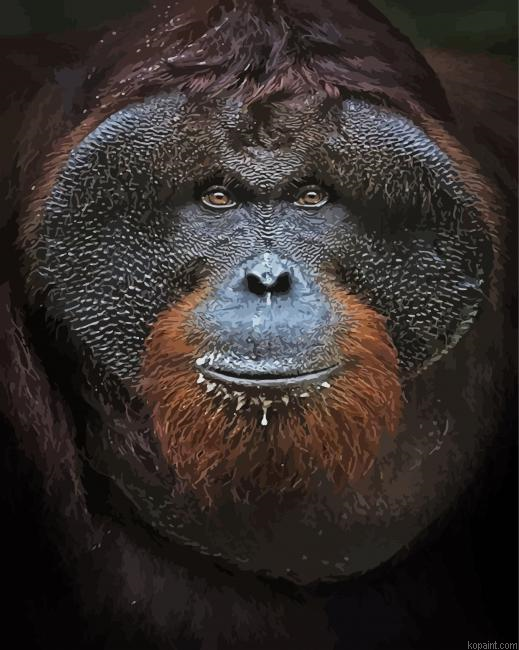 Orangutan Close Up Face Paint By Numbers.png