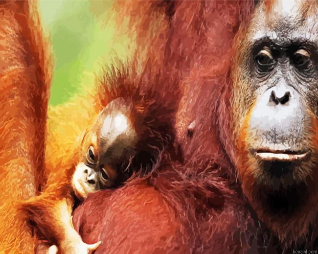Orangutan Monkey Family Painting By Numberss.png