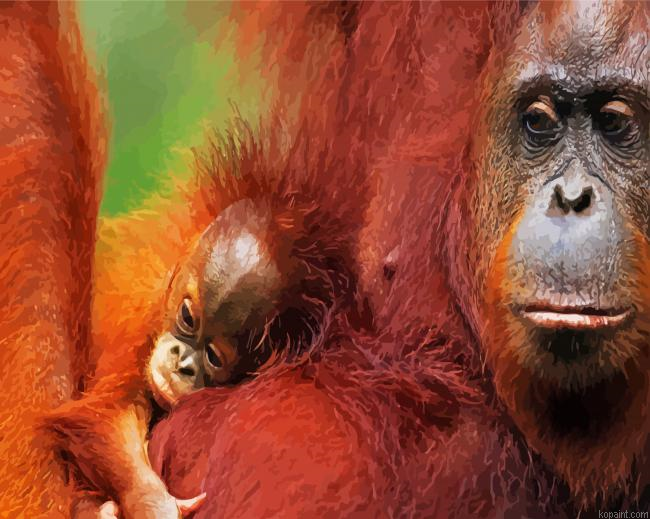 Orangutans Monkey Paint By Numbers.png