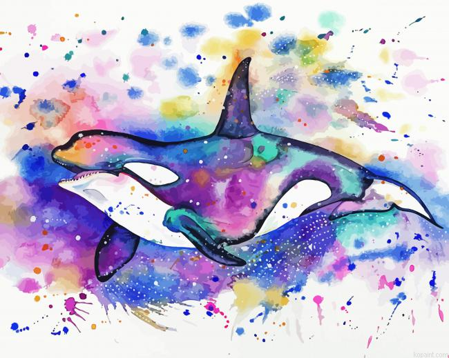 Orca Art Painting By Numberss.png