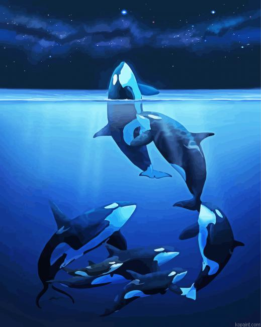 Orca Family Painting By Numberss.png