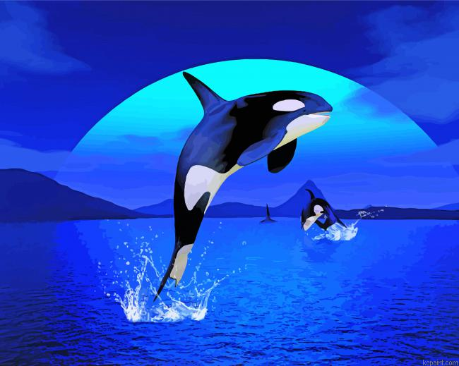 Orca Jumping Painting By Numberss.png
