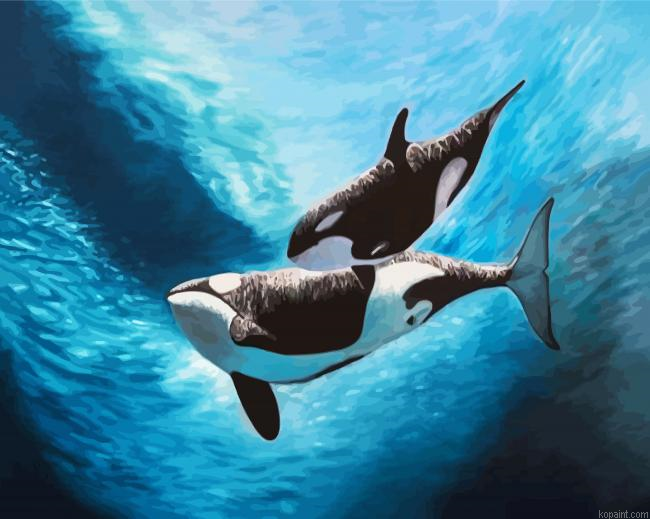 Orca Underwater Painting By Numberss.png