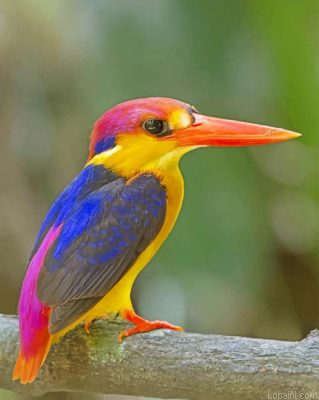Oriental Dwarf Kingfisher Painting By Numberss.png