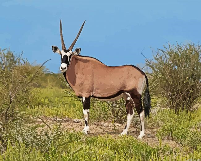 Oryx Animal Paint By Numbers.png