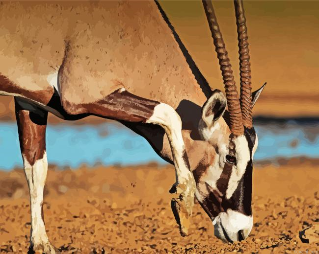 Oryx Close Up Paint By Numbers.png