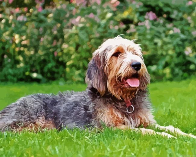 Otterhound Dog Animal Paint By Numbers.png
