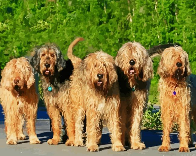 Otterhound Dogs Animals Paint By Numbers.png