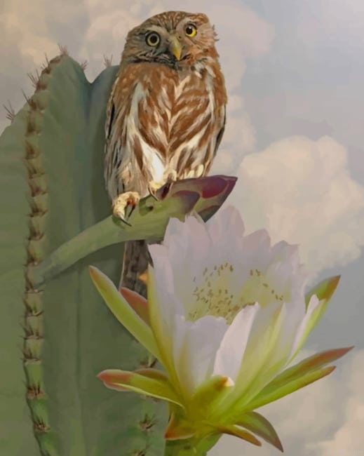 Owl And Cactus New Painting By Numberss.png